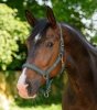 Kantar Trinidad - Waldhuasen 